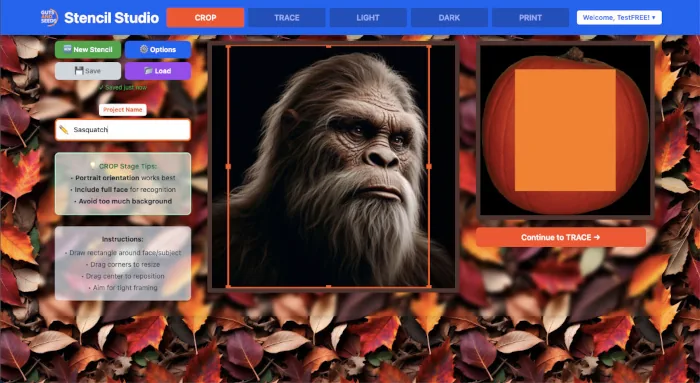 Pumpkin Studio Crop stage — upload and crop your photo