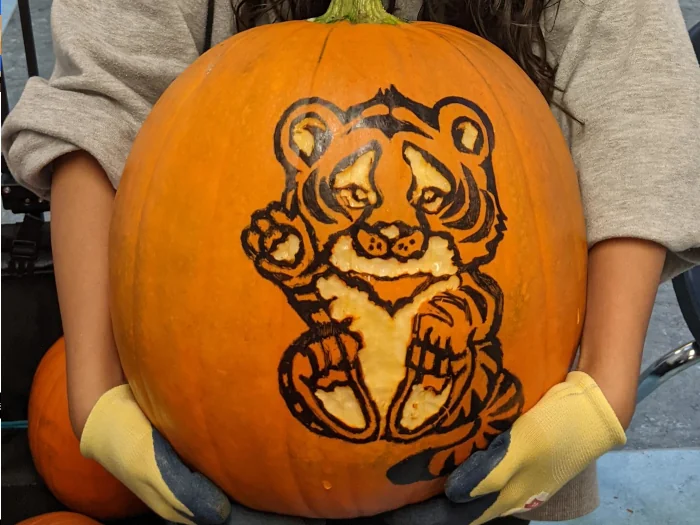 Pumpkin carving created using the Sharpie and scrape technique
